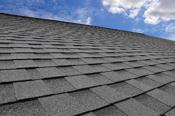 Best Solar Panel Roofing Installation  in Kadelphia, AR